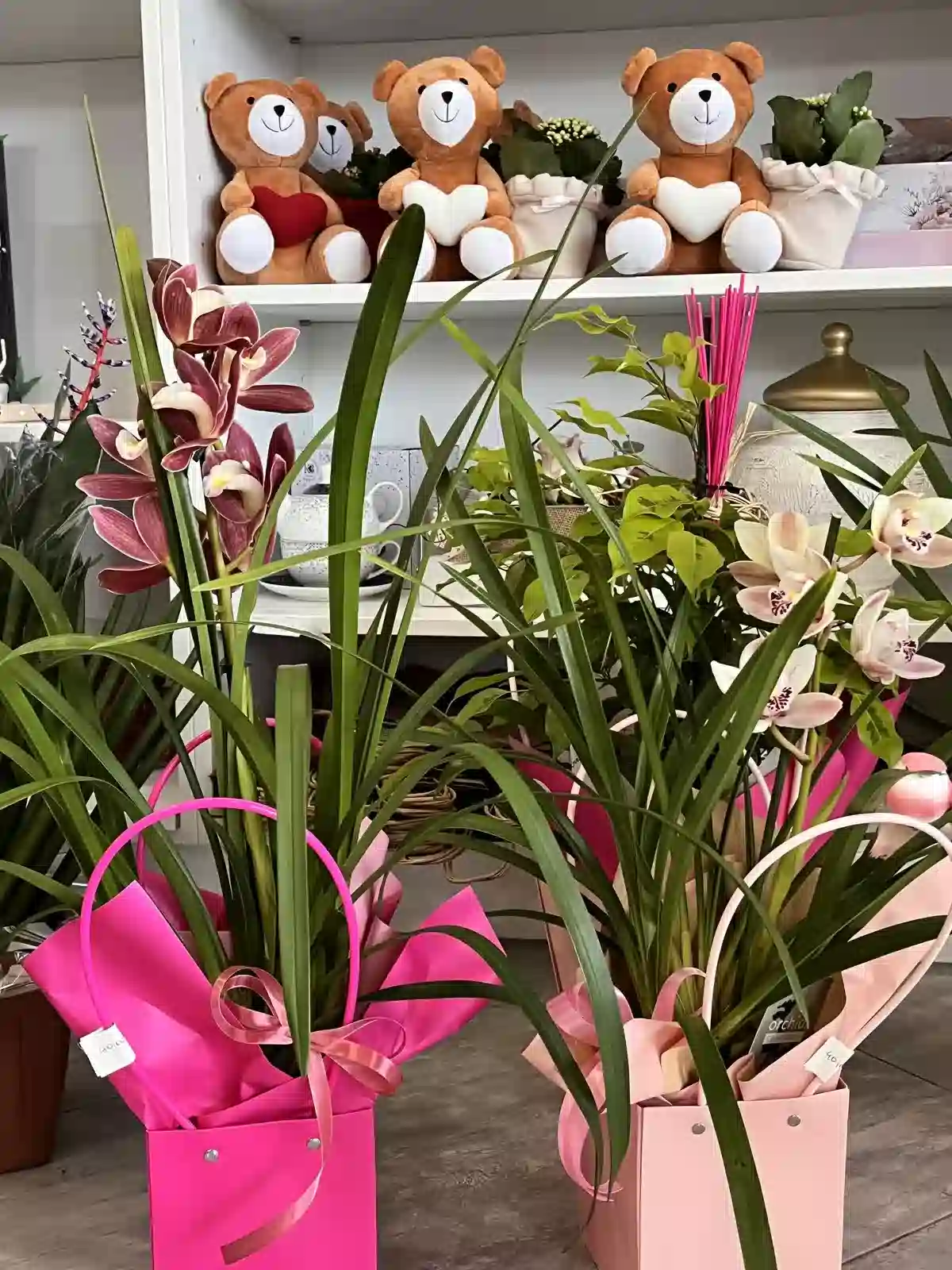     Lončanice - Primjer 2